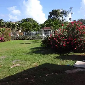 Pensión West House Lusitania
